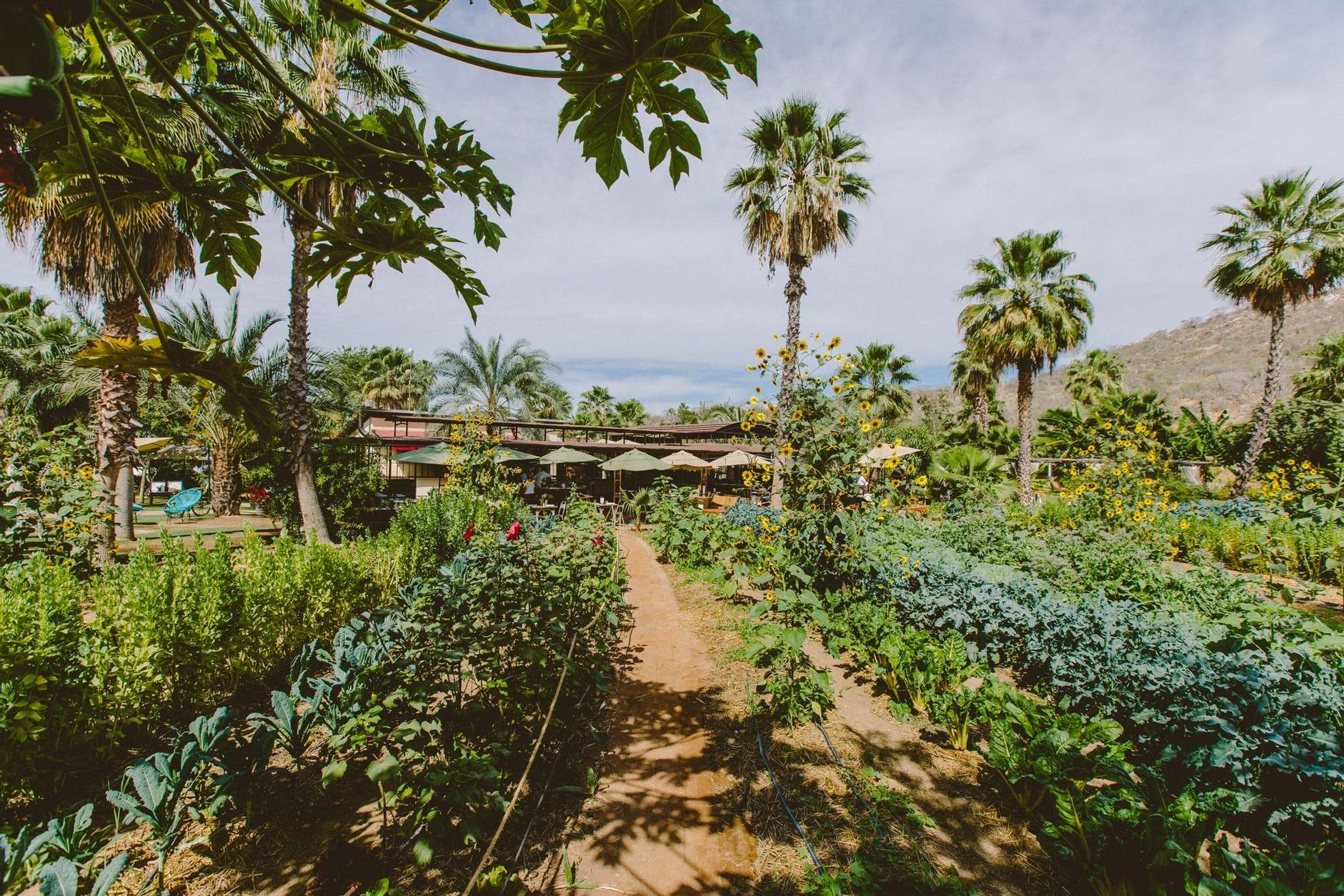 Flora Farms Field Kitchen
